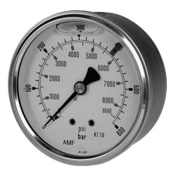 Gauge