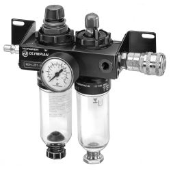 Air filter and pressure regulator